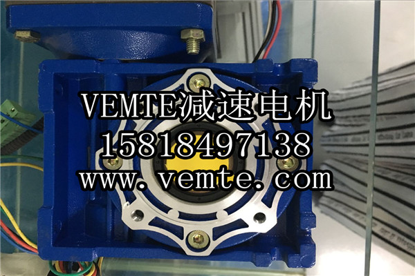 VEMT減速機(jī)電機(jī)制造廠(chǎng)家 (21)